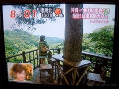 めざましテレビ